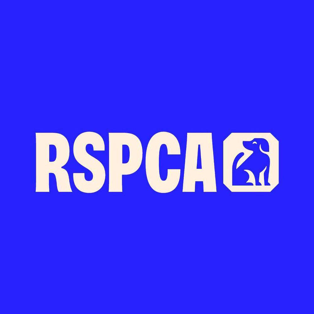 RSPCA cat