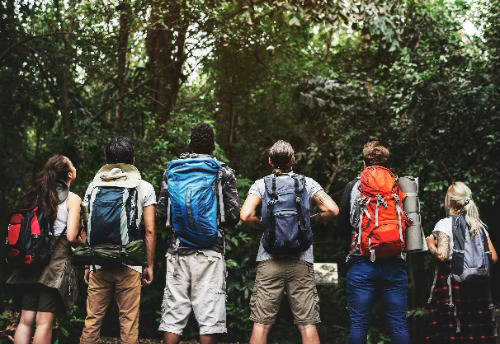 Group of young people standing looking up at nature with backpacks on