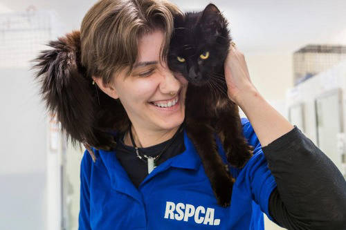 RSPCA logo