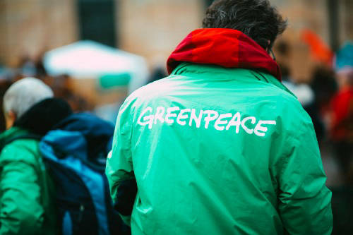 Greenpeace volunteer